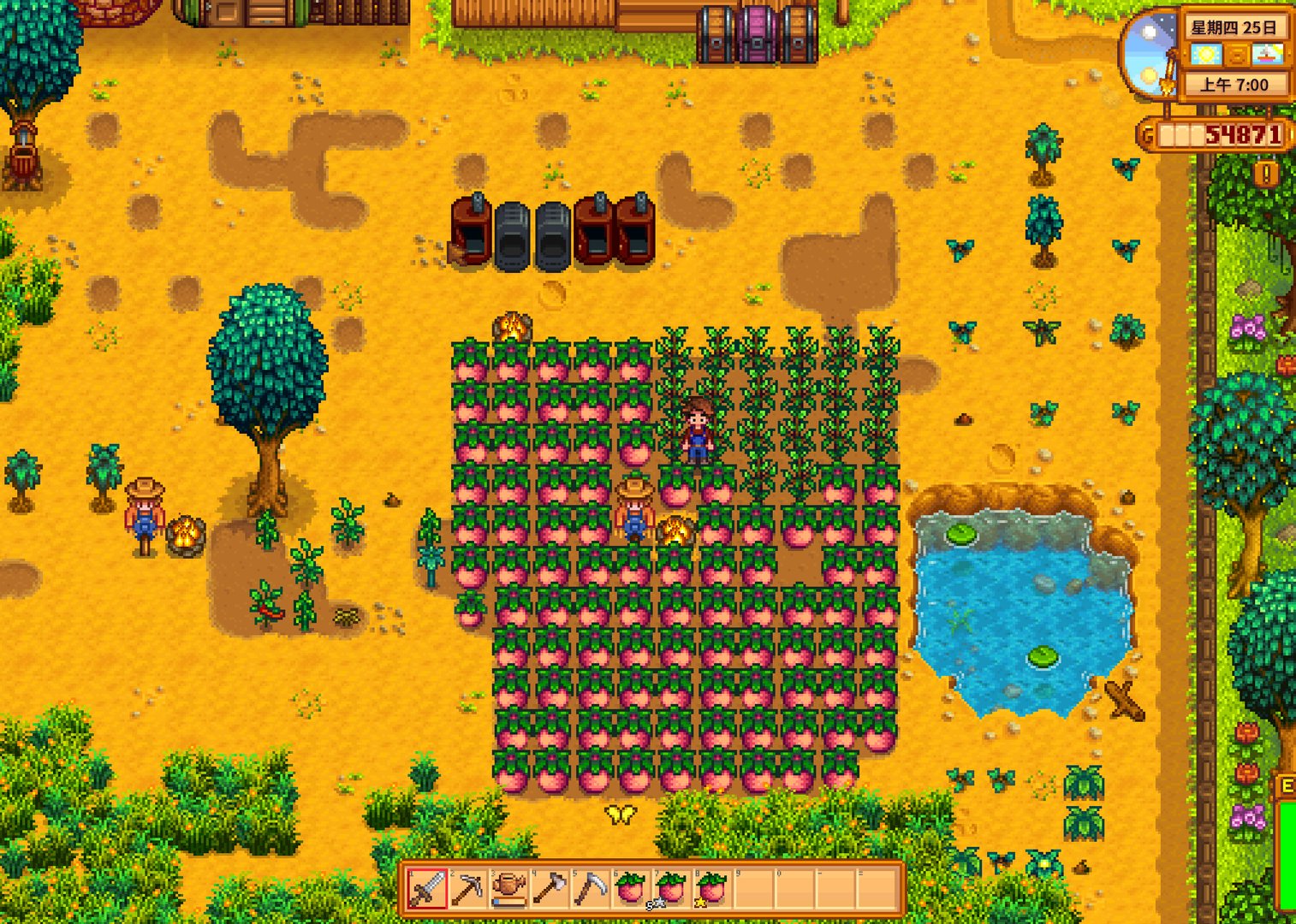 空洞骑士 截图16