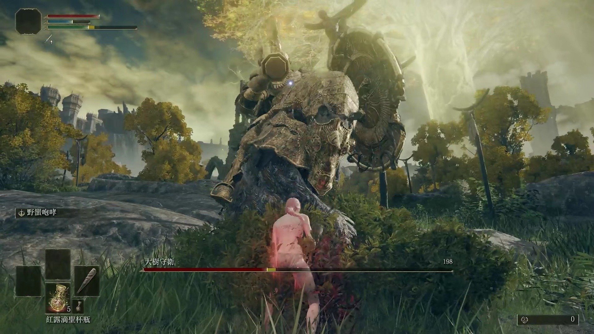 泰拉瑞亚 豪华版 截图14