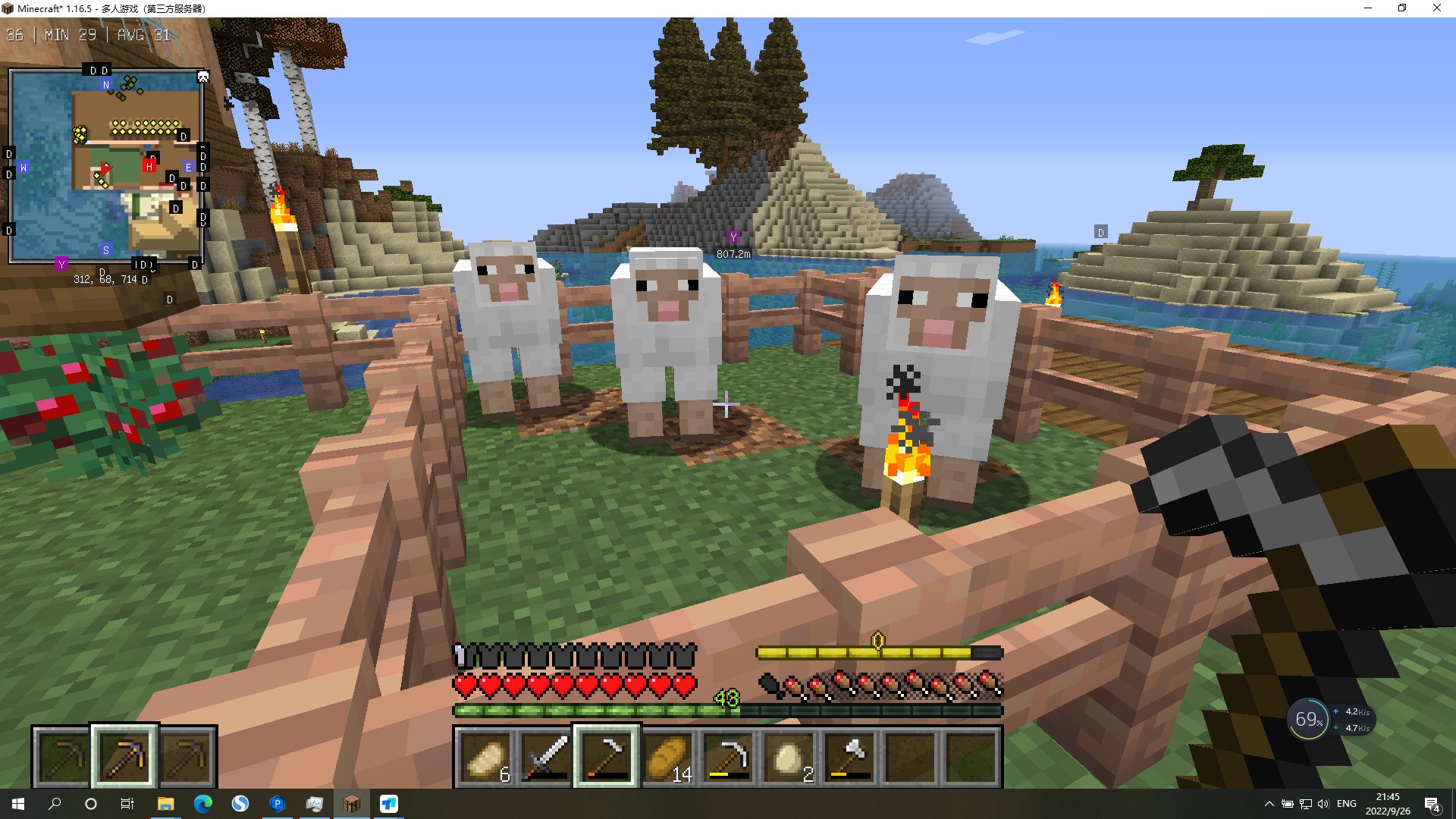 泰拉瑞亚 豪华版 截图3